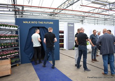 Walk into the Future.